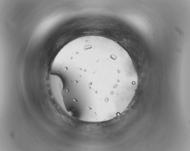 X0000115680146200911251759