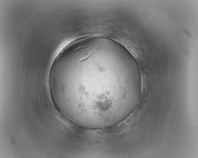 X0000115680147200911251759