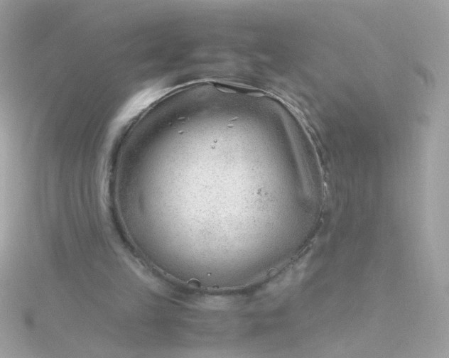 X0000115680149200911251759