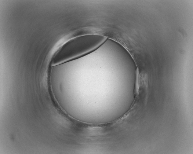 X0000115680150200911251759