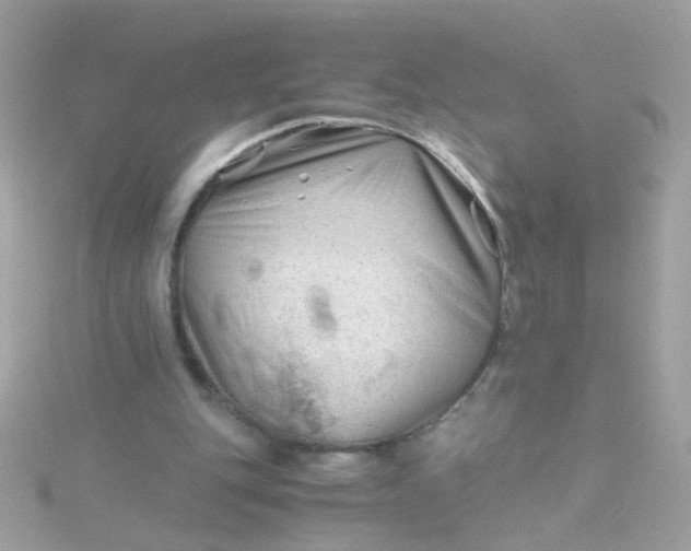 X0000115680151200911251759