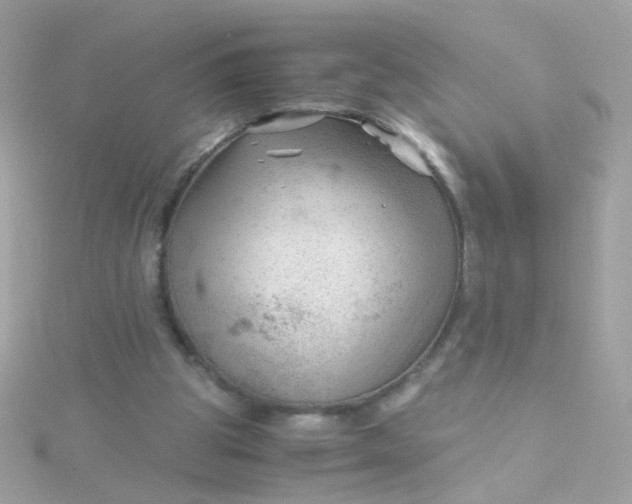 X0000115680153200911251759