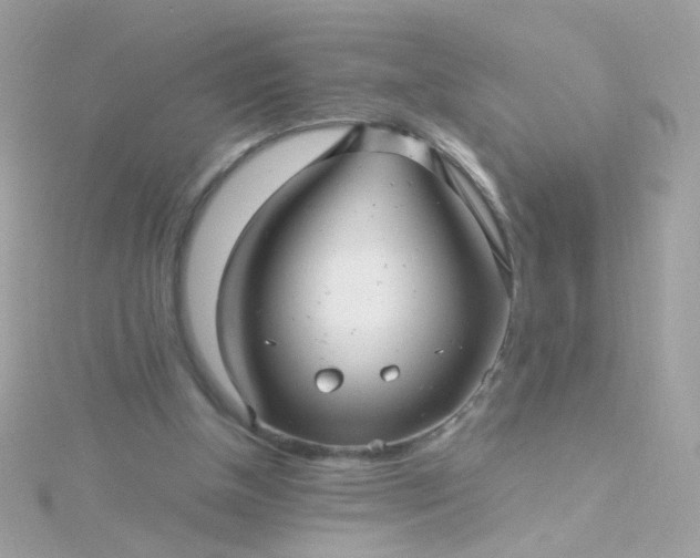 X0000115680154200911251759