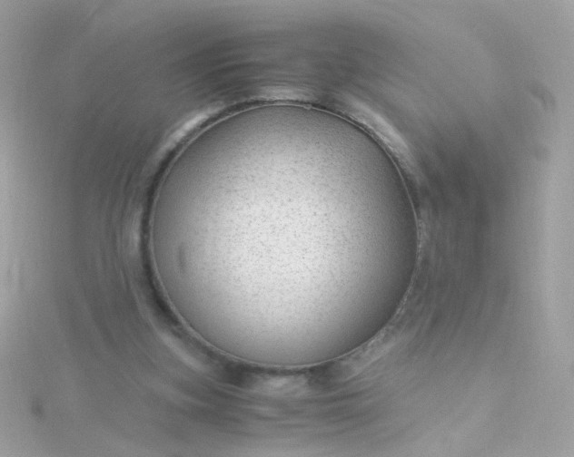 X0000115680155200911251759