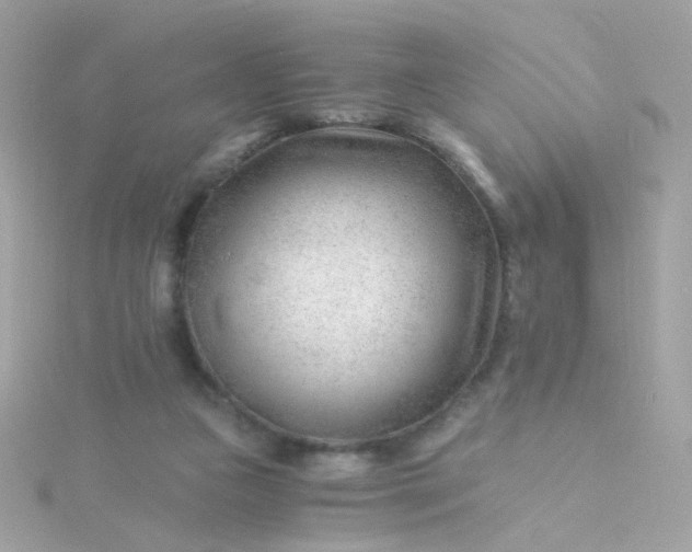 X0000115680161200911251759