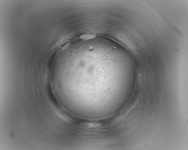 X0000115680165200911251759