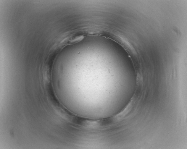 X0000115680170200911251759