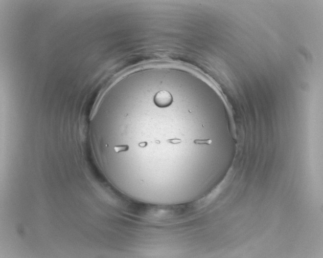 X0000115680174200911251759