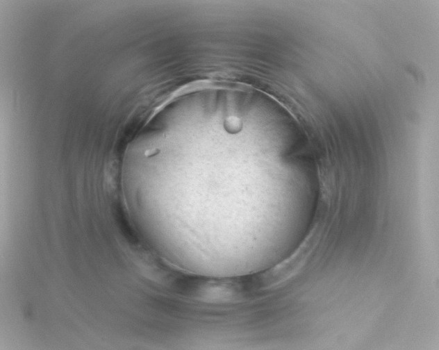 X0000115680175200911251759