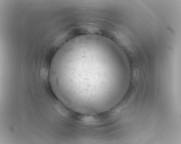 X0000115680177200911251759