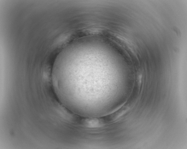 X0000115680181200911251800