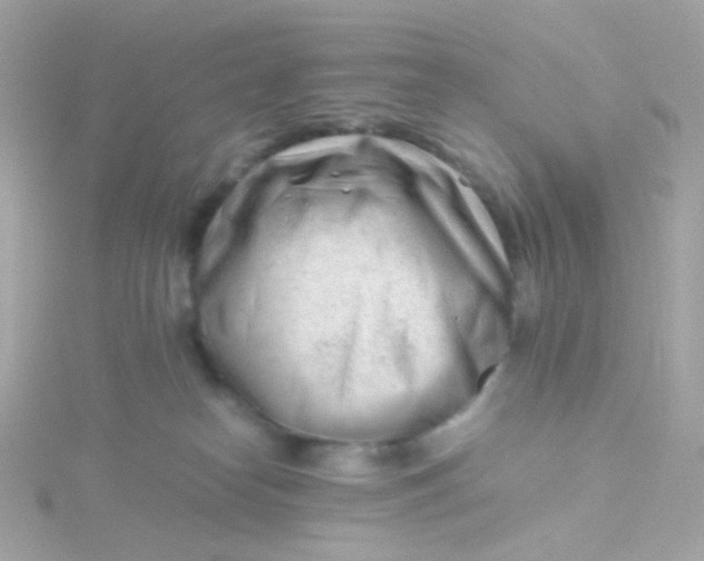 X0000115680182200911251800