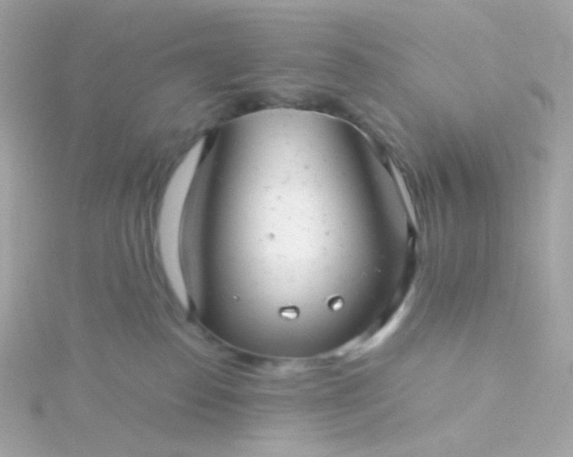 X0000115680186200911251800