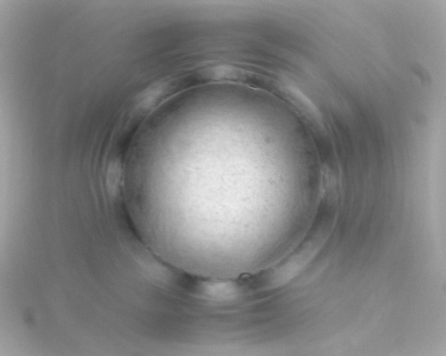 X0000115680189200911251800