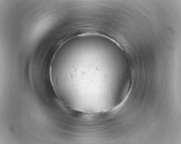 X0000115680190200911251800