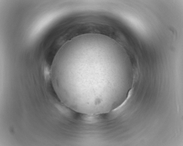 X0000115680191200911251800