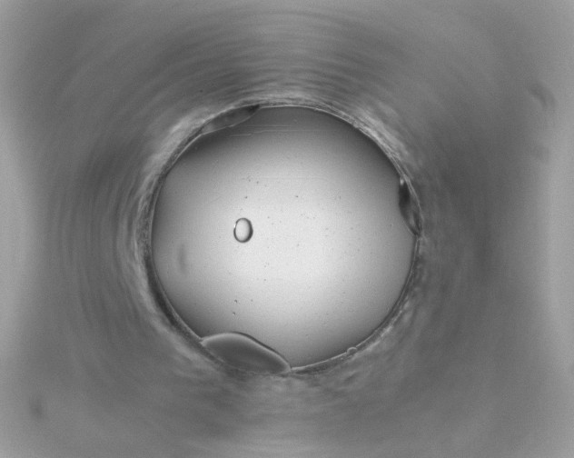 X0000115680193200911251759