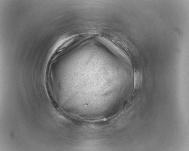 X0000115680195200911251759