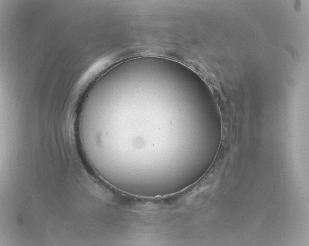 X0000115680197200911251759