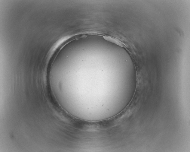 X0000115680200200911251759