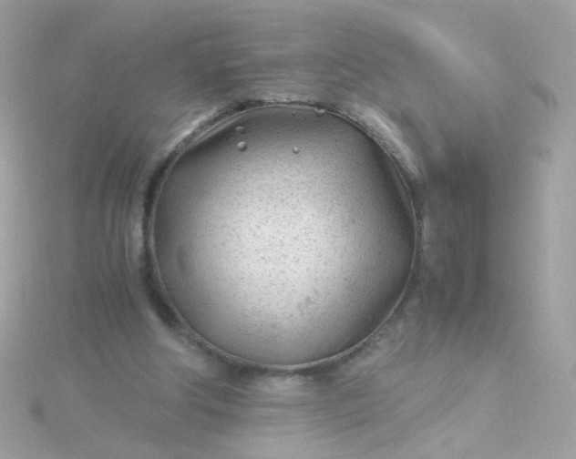 X0000115680202200911251759