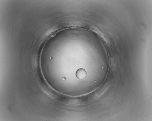 X0000115680203200911251759