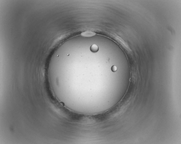 X0000115680207200911251759