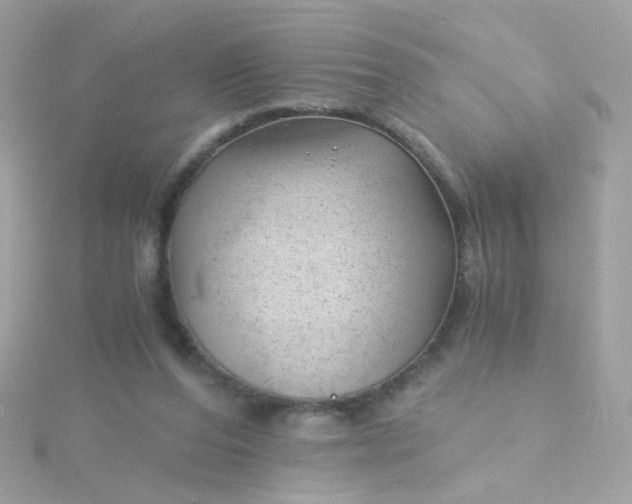 X0000115680208200911251759