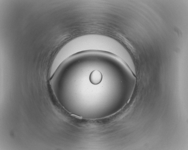 X0000115680209200911251759