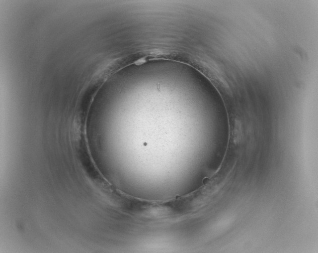 X0000115680210200911251759