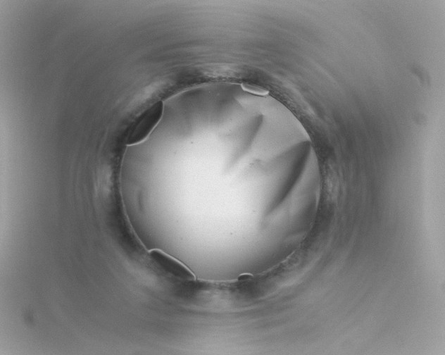 X0000115680211200911251759