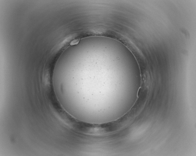 X0000115680212200911251759