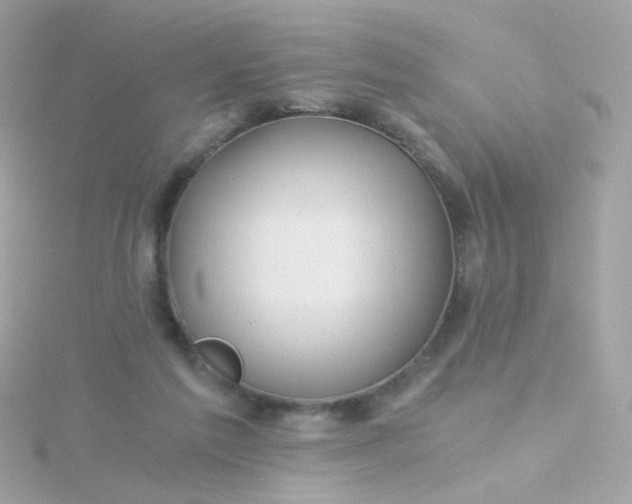 X0000115680213200911251759