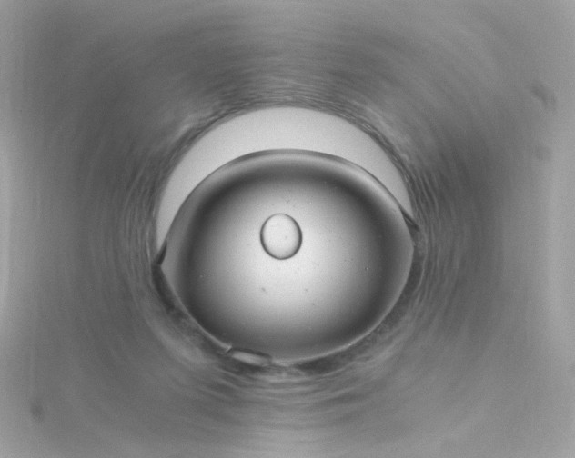 X0000115680215200911251759