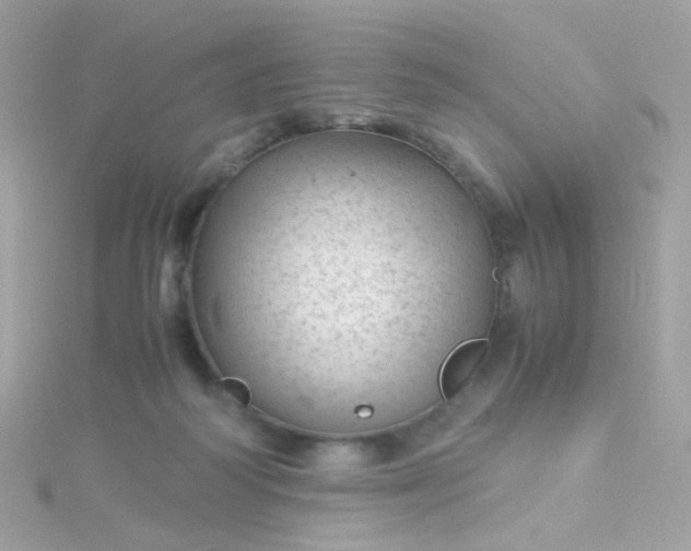 X0000115680218200911251759