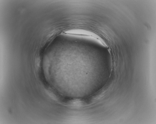 X0000115680219200911251759