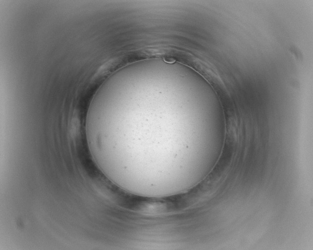 X0000115680220200911251759