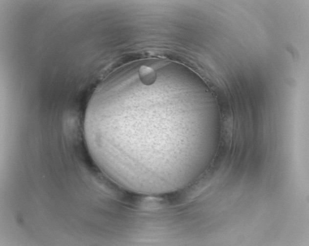 X0000115680222200911251759