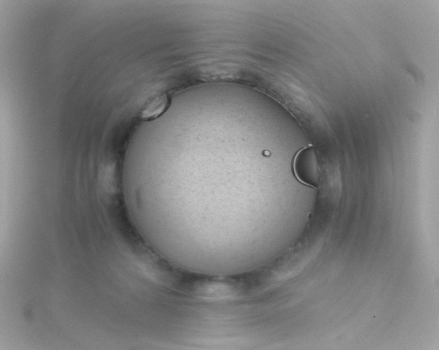 X0000115680224200911251758