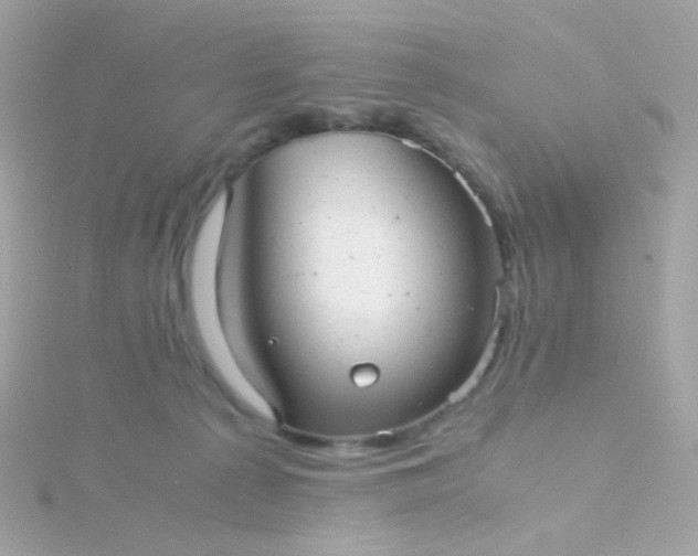 X0000115680225200911251758