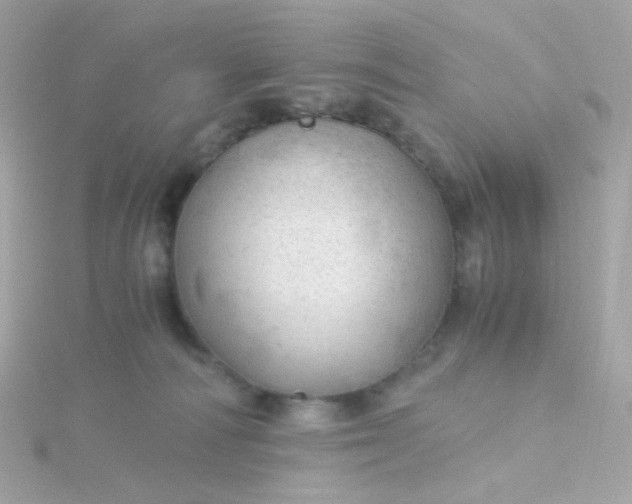 X0000115680226200911251758