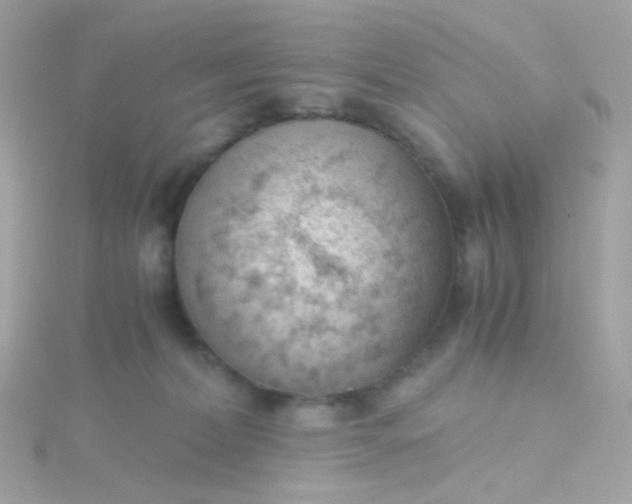 X0000115680228200911251758