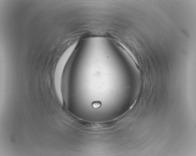 X0000115680229200911251758