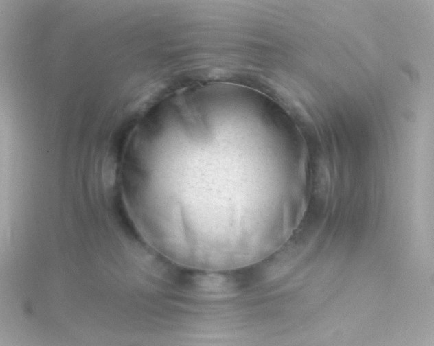 X0000115680230200911251758