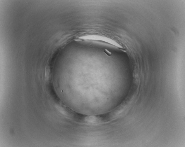 X0000115680231200911251758