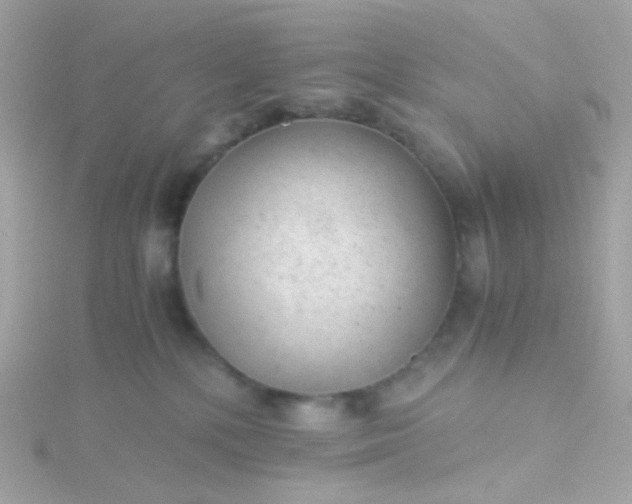 X0000115680232200911251758