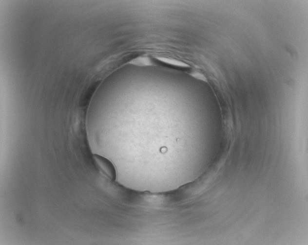 X0000115680233200911251758