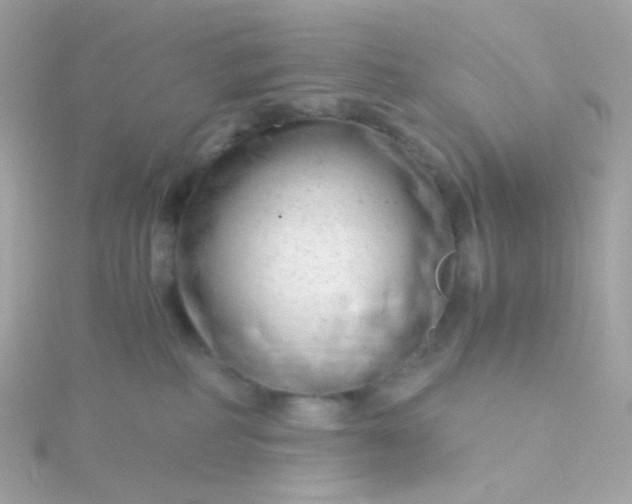 X0000115680234200911251758