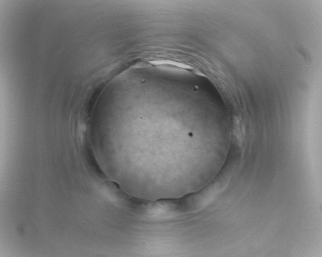 X0000115680235200911251758