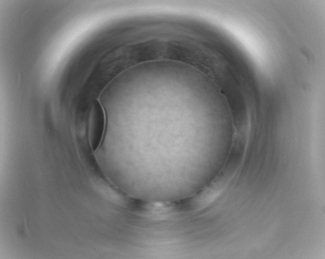 X0000115680239200911251758